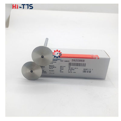 4BT 6BT 6D102 Дизельный двигатель впускной клапан выпускный клапан 4995554 3901117 3920867 3920868